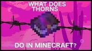 image via RajCraft, youtube
